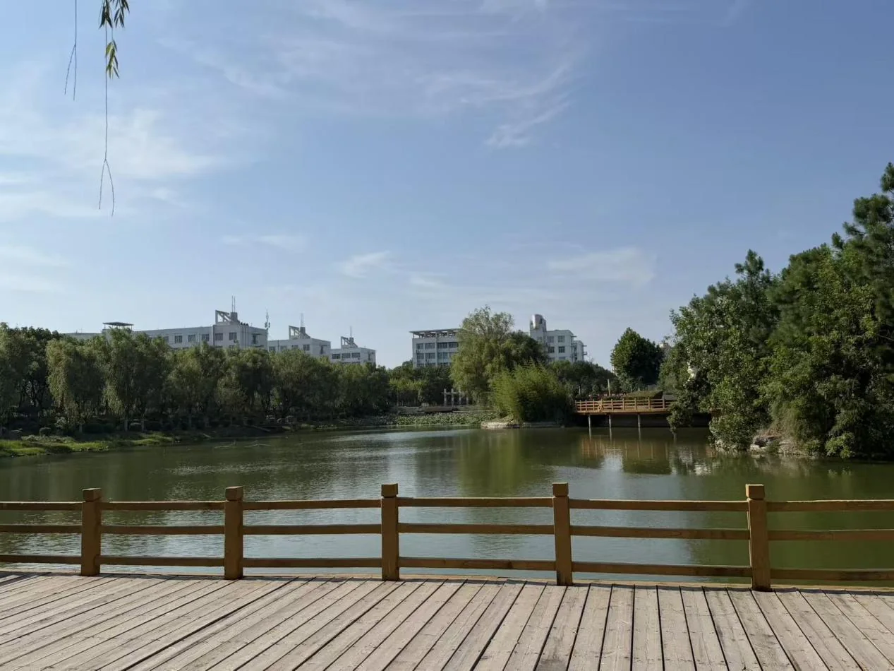 南阳理工学院湖畔木栈道实拍